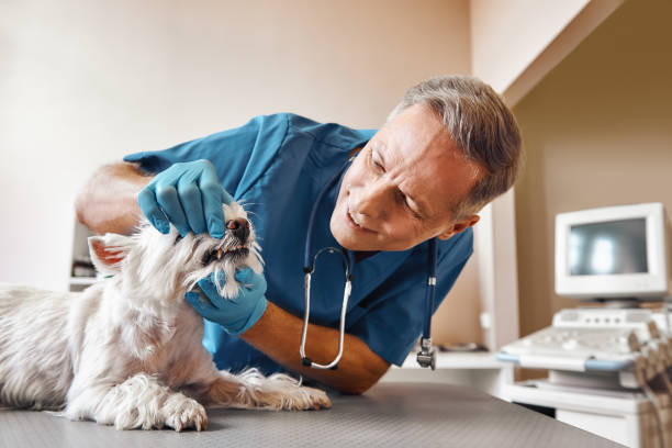 Best Emergency Tooth Extraction in Montgomeryville, PA